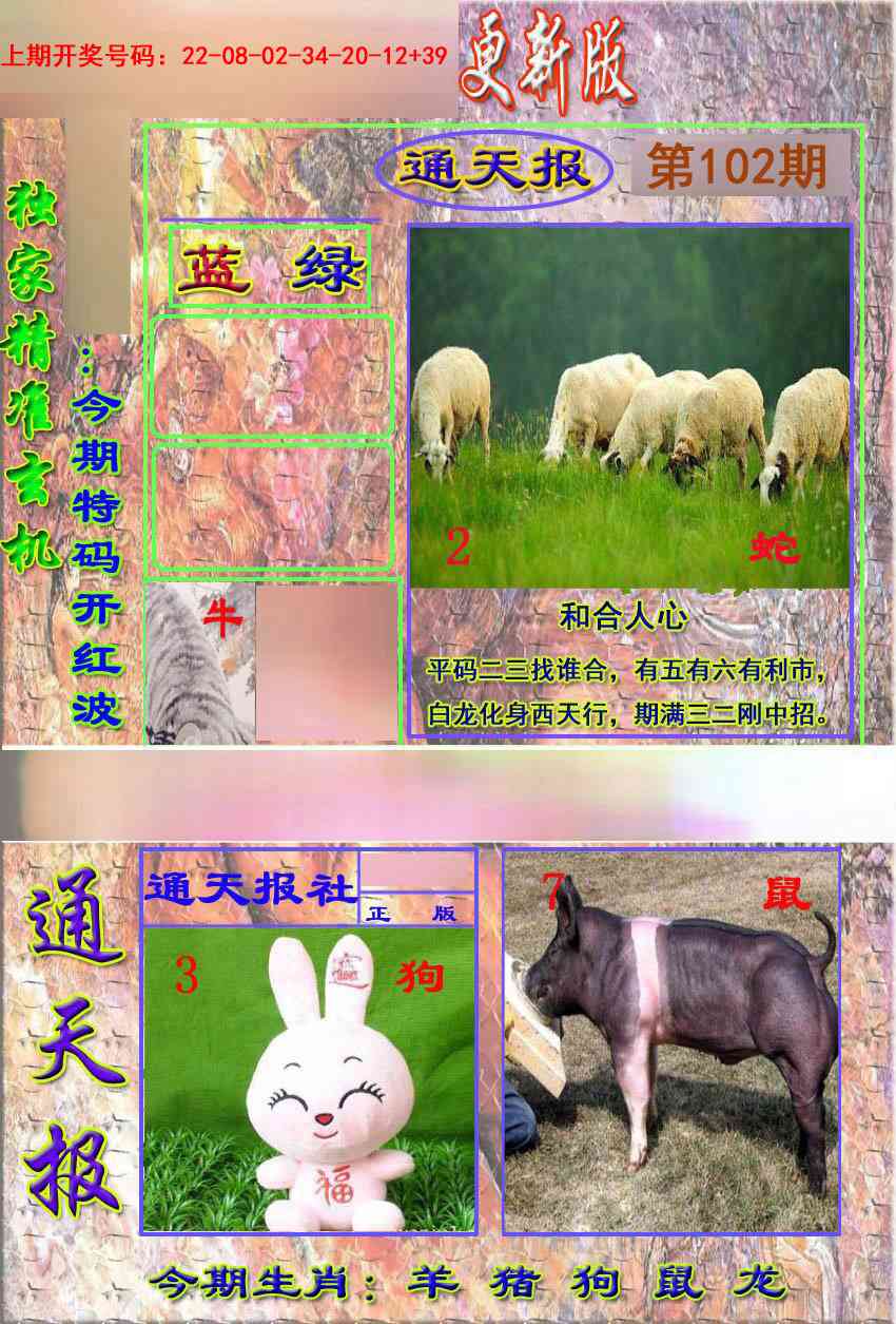 102期新通报[图]