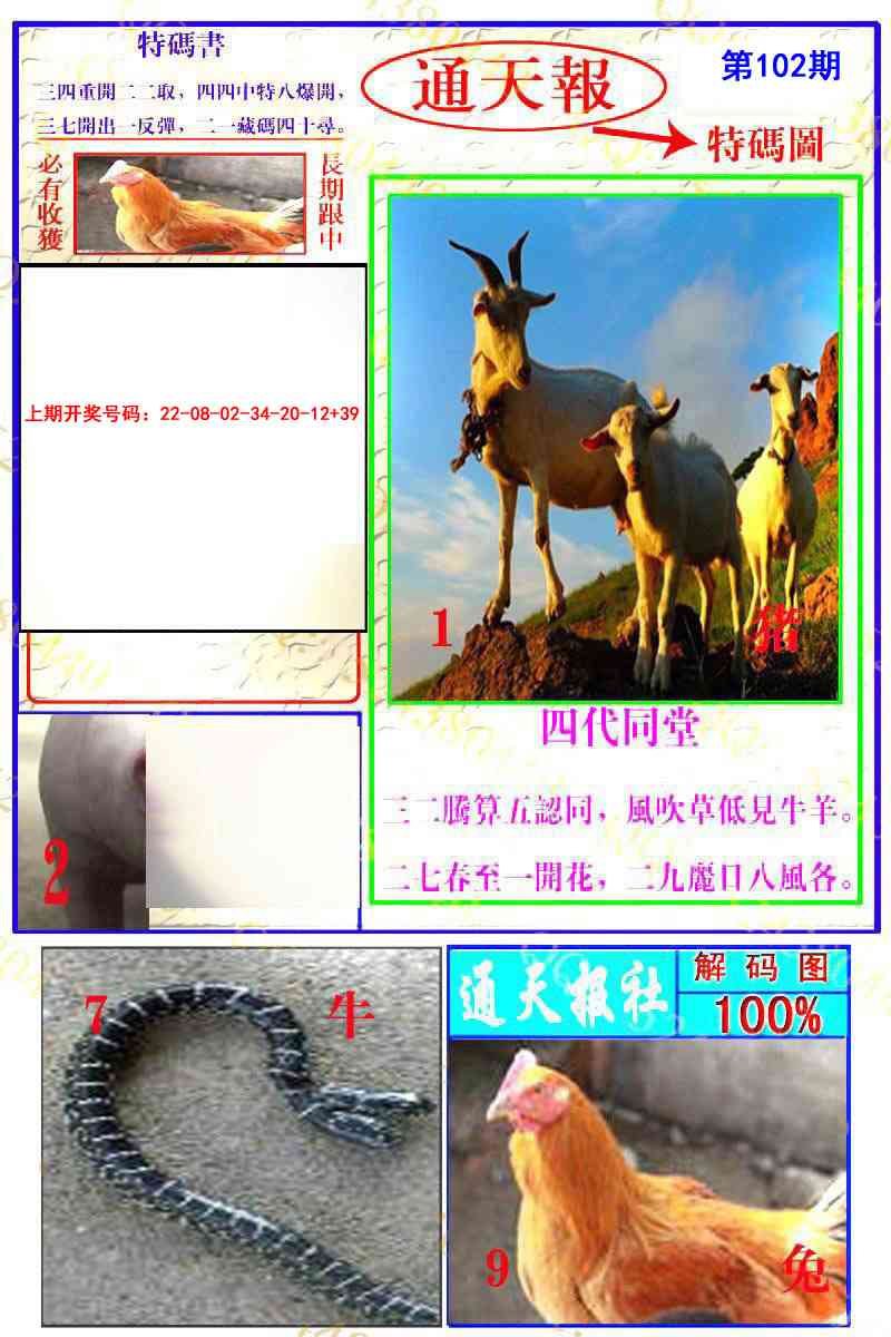 102期通天特解图[图]
