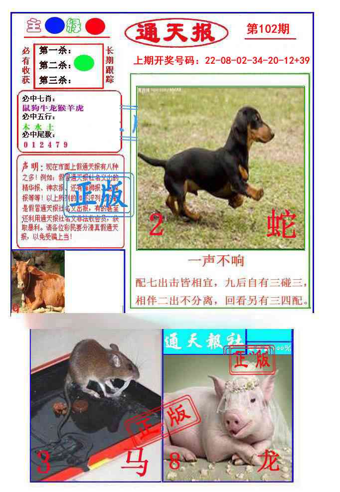 102期通天杀波图1[图]