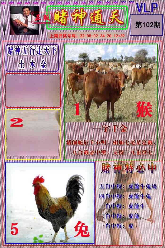 102期赌神通天报[图]